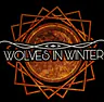 Wolves in Winter