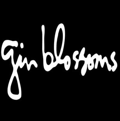 Gin Blossoms — foto 4