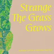 Seamus Cater
