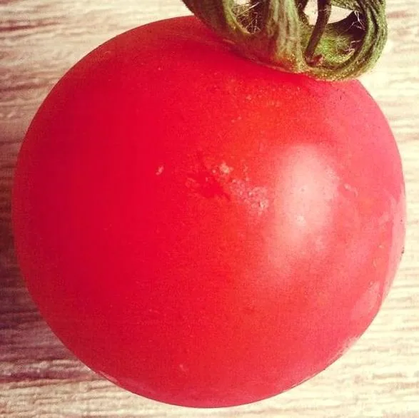 Pomodorosa