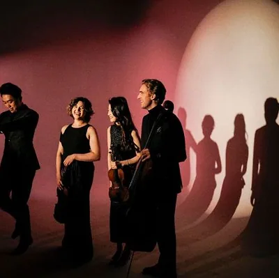 Viano Quartet — foto 2