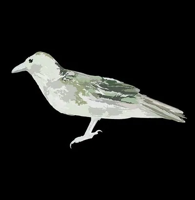 Green Crow Collective — photo 2