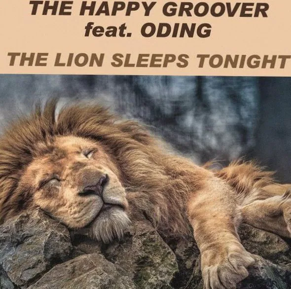 The Happy Groover