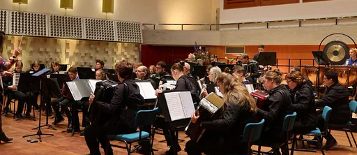Accordeonvereniging De Lustige Klanken · De Kattendans, Bergeijk · za 28 nov 2026