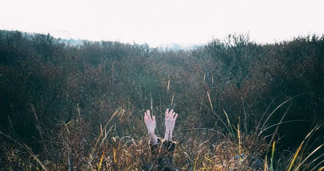 An Elegy - Mees Vervuurt, Studio Vacuum + NKK NXT · Muziekgebouw aan 't IJ, Amsterdam · Sun, 13 Sept 2026
