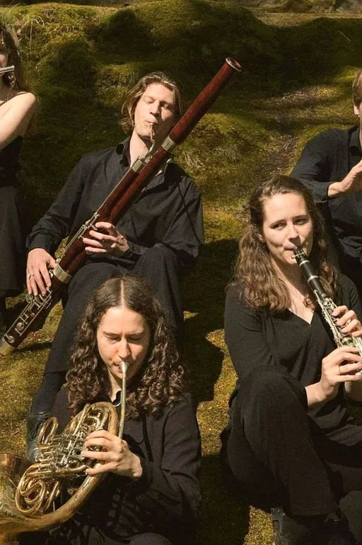 Artis Ensemble · Podium Zuidhaege, Assen · Sun, 8 Nov 2026