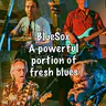 BlueSox: a big portion of fresh blues · Muziekcafe Station Zuid, Tegelen · zo 20 sep 2026