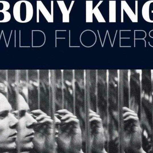 Bony King of Nowhere — achtergrondafbeelding