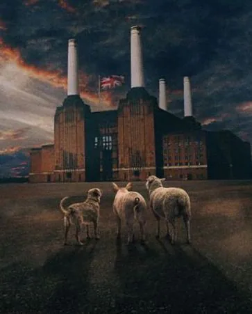 Brit Floyd · Muziekgebouw Eindhoven, Eindhoven · do 21 okt 2027
