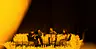 Candlelight · de Doelen, Rotterdam · za 19 sep 2026