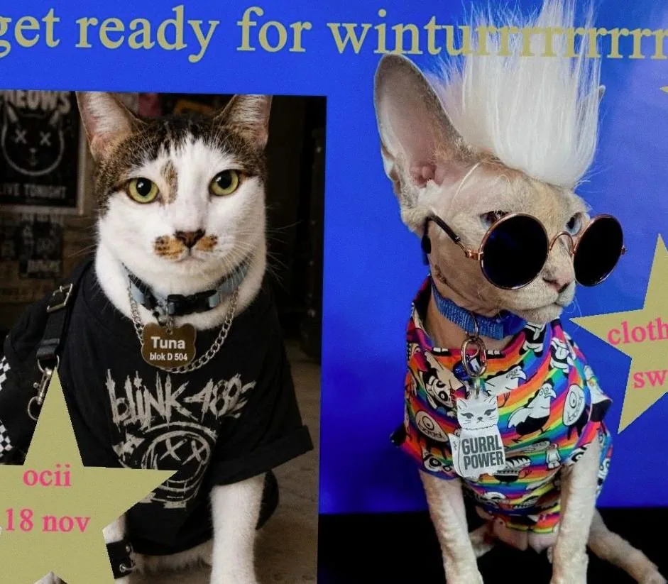 Clothes Swap "All Community Access Boutique" — achtergrondafbeelding