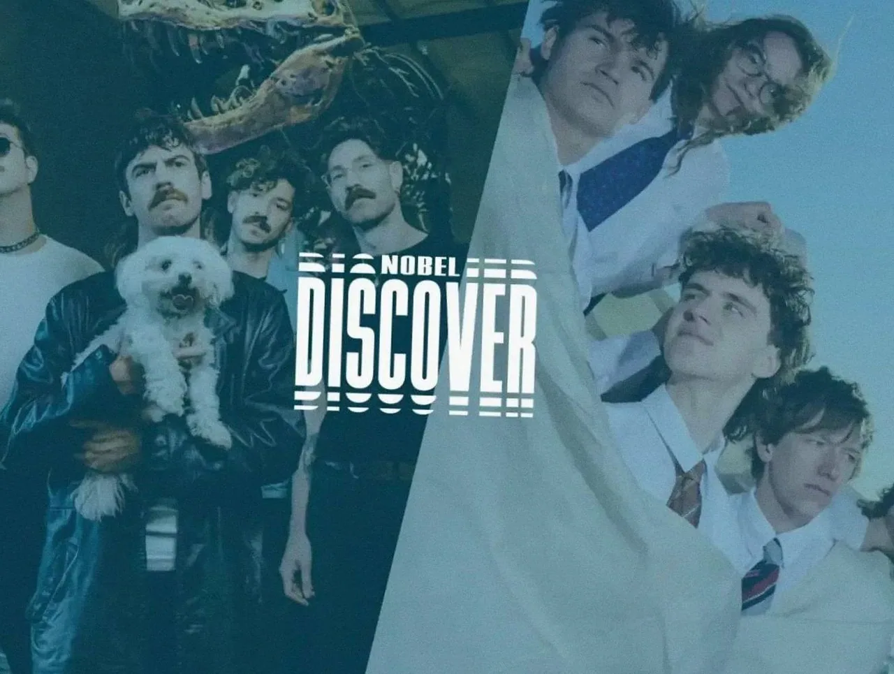 Discover: Ronker + Grote Geelstaart · Nobel, Leiden · vr 9 okt 2026