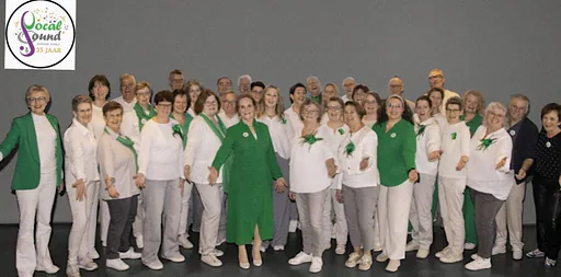 Do You Remember | Popkoor Vocal Sound · Cultureel Centrum Jan van Besouw, Goirle · za 7 nov 2026
