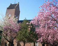 Dokwerk Saxophone Quartet · Kerkje garnwerd, Garnwerd · Sun, 22 Nov 2026
