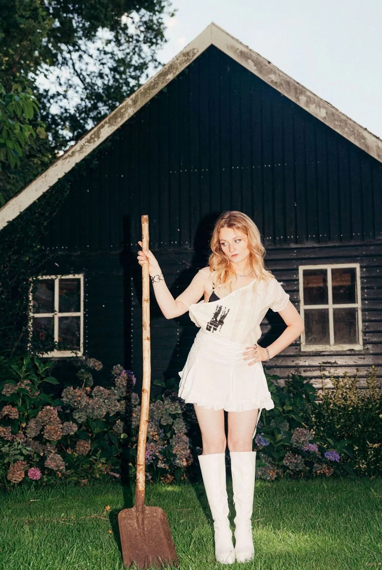 Fay Sings Barbra Streisand — achtergrondafbeelding