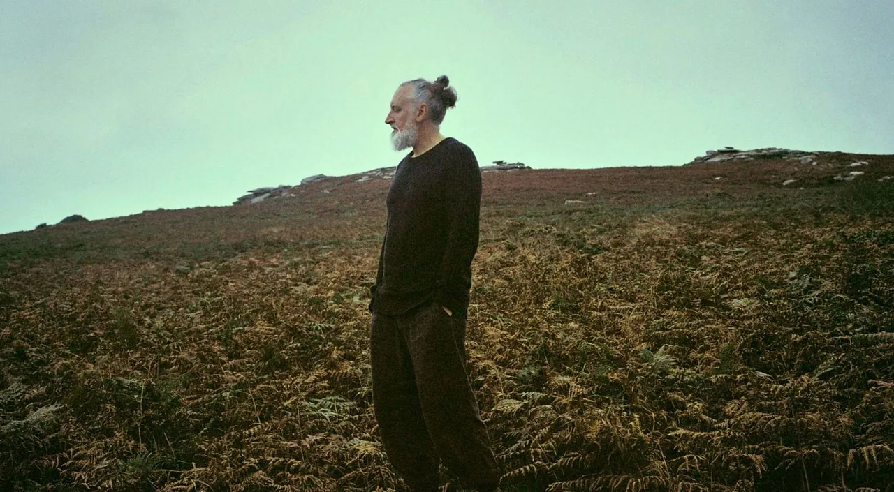 Fink — achtergrondafbeelding