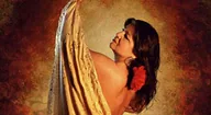 Flamenco uit Sevilla · Beauforthuis, Austerlitz · wo 4 nov 2026