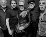 Flavium plays Fleetwood Mac · Beauforthuis, Austerlitz · zo 17 jan 2027