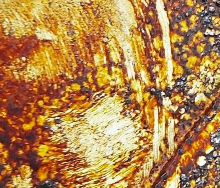 Haarlems Gemengd Koor — background image