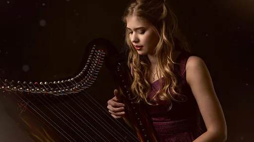 Harp on Fire · Zaantheater, Zaandam · zo 8 nov 2026