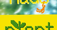 Hausplant · NDSM Theater, Amsterdam · za 24 okt 2026