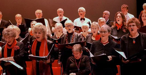 Kerstconcert · Theater De Leest, Waalwijk · di 8 dec 2026