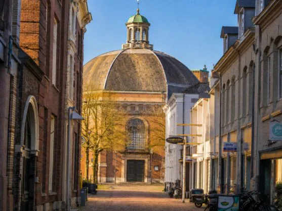 Koepelkerk - Carnaval des Animaux — background image
