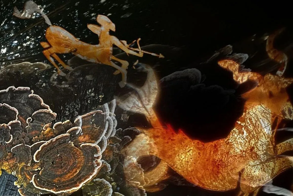 Lichtbende speelt Niemandsland (première) · Orgelpark, Amsterdam · vr 23 okt 2026
