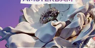 Mind Against presents HABITAT x Loveland · Mediahaven Studio 1, Amsterdam · za 24 okt 2026