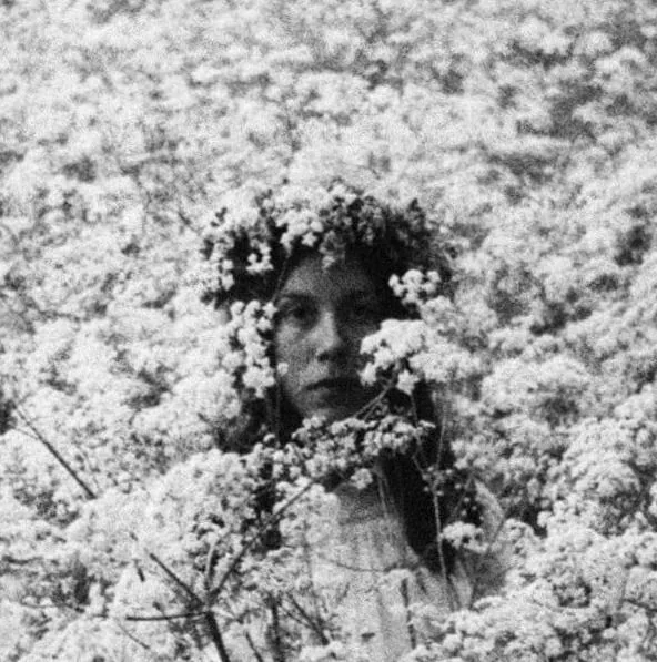 Nina Winder-Lind — background image