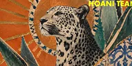 Nomadism Records x Cartel – Sunday Session · Cartel Amsterdam, Amsterdam · Sun, 25 Oct 2026