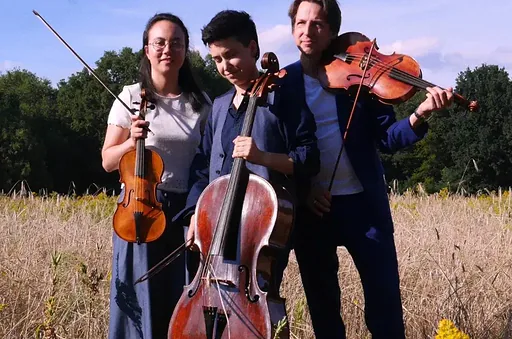 Nussen Strijktrio · Theater De Cirkel, Heemskerk · zo 24 jan 2027