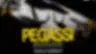 Pegassi All Day Long – ADE · North Sea Venue, Zaandam · vr 23 okt 2026