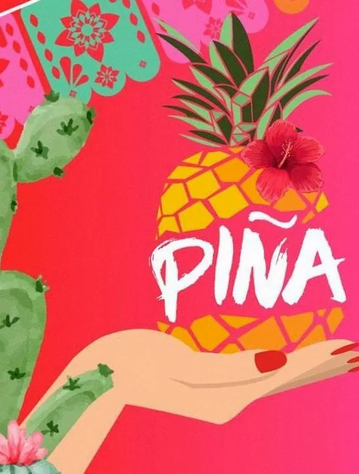 PIÑA · ECI Cultuurfabriek, Roermond · za 10 okt 2026