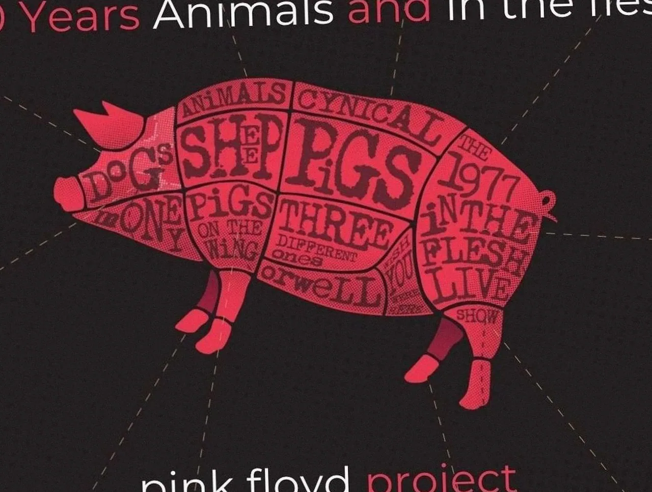 Pink Floyd Project · Theater de Stoep, Spijkenisse · Sat, 22 May 2027
