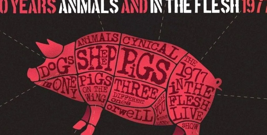 Pink Floyd Project - 50 years of Animals & In The Flesh 1977 · Markant Theater Maashorst, Uden · Fri, 4 Jun 2027