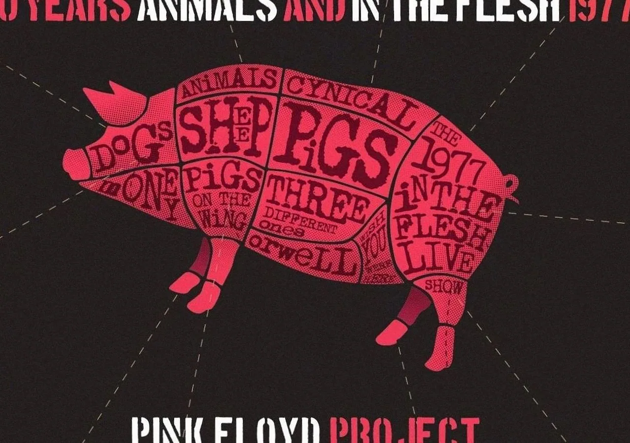 Pink Floyd Project · Schouwburg Concertzaal Tilburg, Tilburg · Sat, 26 Jun 2027