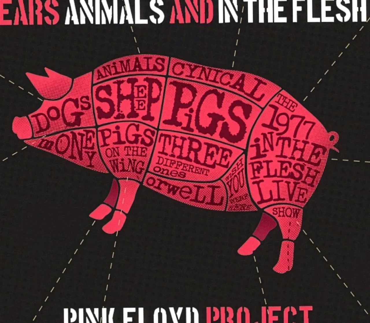 Pink Floyd Project · PHIL Haarlem, Haarlem · Sat, 15 May 2027