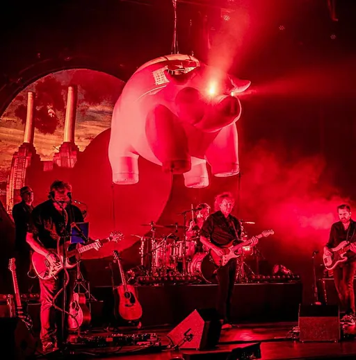Pink Project: Echoes · Effenaar, Eindhoven · vr 16 okt 2026
