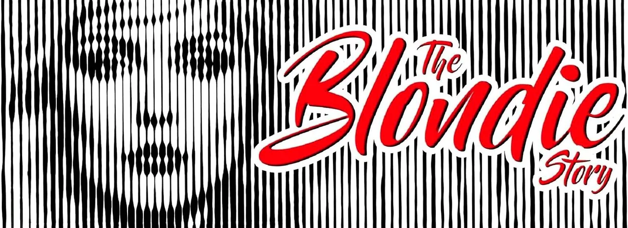 Reine Beau Anderson Dudley & The Night Owl Band - The Blondie Story · Haventheater IJmuiden, IJmuiden · zo 28 feb 2027