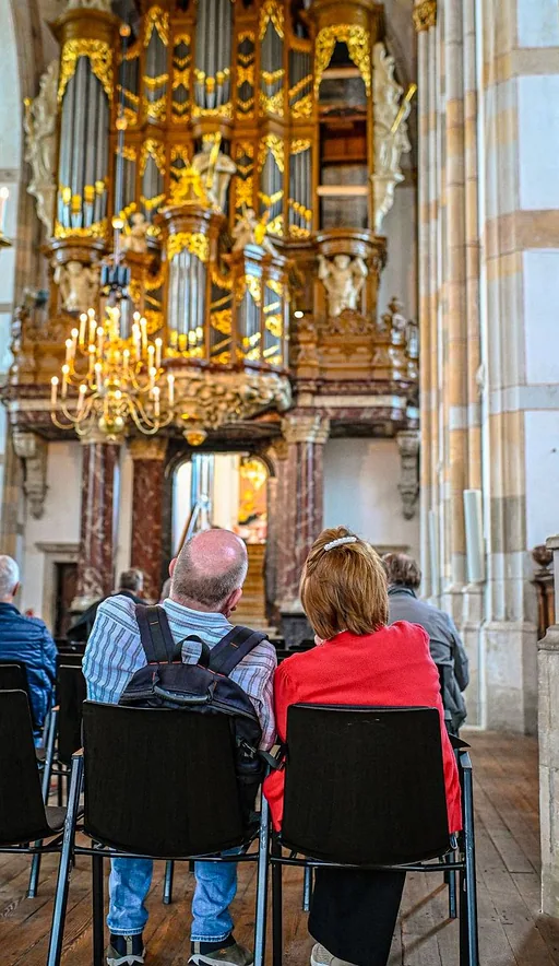 Schnitgerorgel inloopconcert | Pieter Dirksen · De Grote of Sint Michaelskerk, Zwolle · za 21 nov 2026