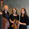 Schulhoff Trio · Waterstaatskerk, Hengelo · zo 11 okt 2026