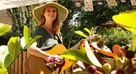 Singer/songwriter Nanook · Cultuurhuis Ludiek, Strijen · za 16 jan 2027