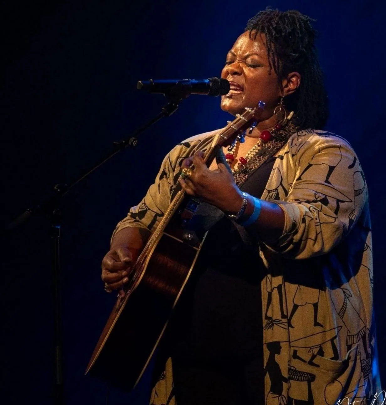 Southern Bluesnight 2027 · PLT - Theater Heerlen, Heerlen · za 13 mrt 2027