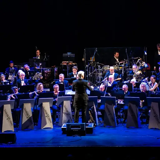 Stedelijk orkest plays… Van Strauss tot House · Theater de Purmaryn, Purmerend · zo 17 jan 2027