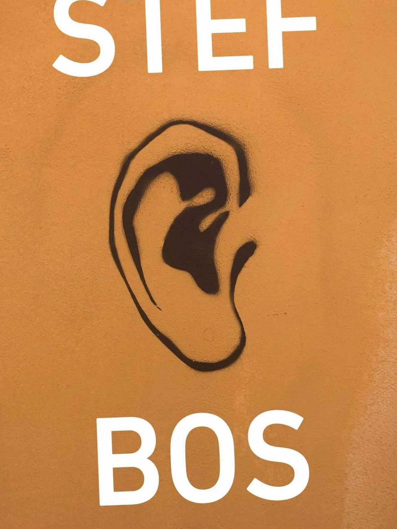 Stef Bos — background image