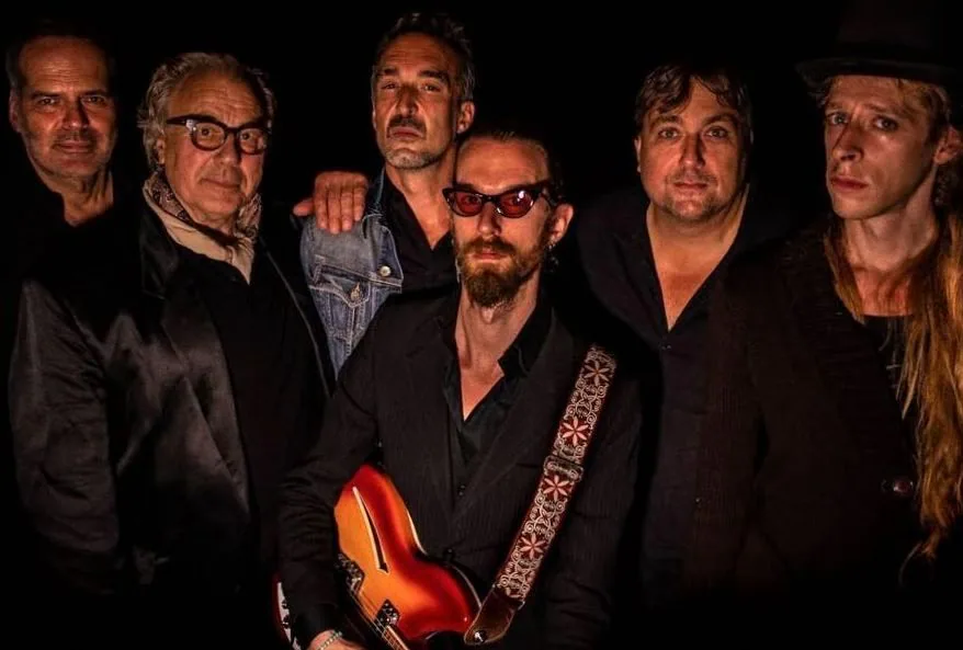 Still Traveling Wilburys · De Cacaofabriek, Helmond · Sun, 29 Nov 2026