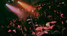 Super-Sonic Jam · Skatecafe, Amsterdam · Thu, 3 Sept 2026