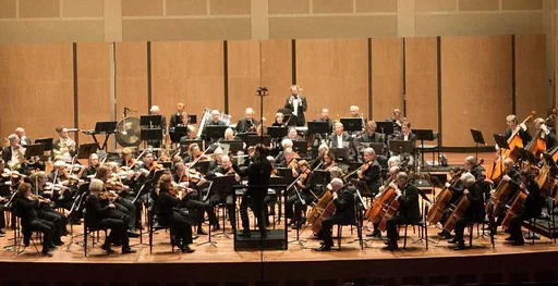 Symfonieorkest Nijmegen · Concertgebouw De Vereeniging, Nijmegen · vr 6 nov 2026