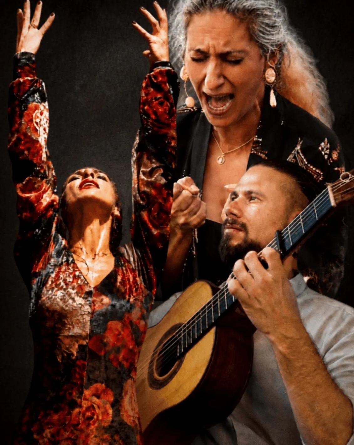 TABLAO FLAMENCO — achtergrondafbeelding